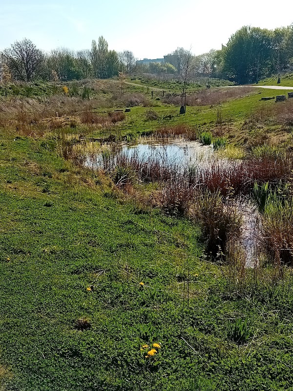 Wilbury Way Open Space
