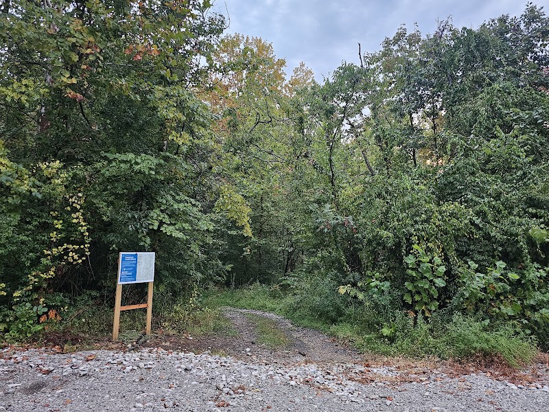 Pinnacle Knob Trails Head