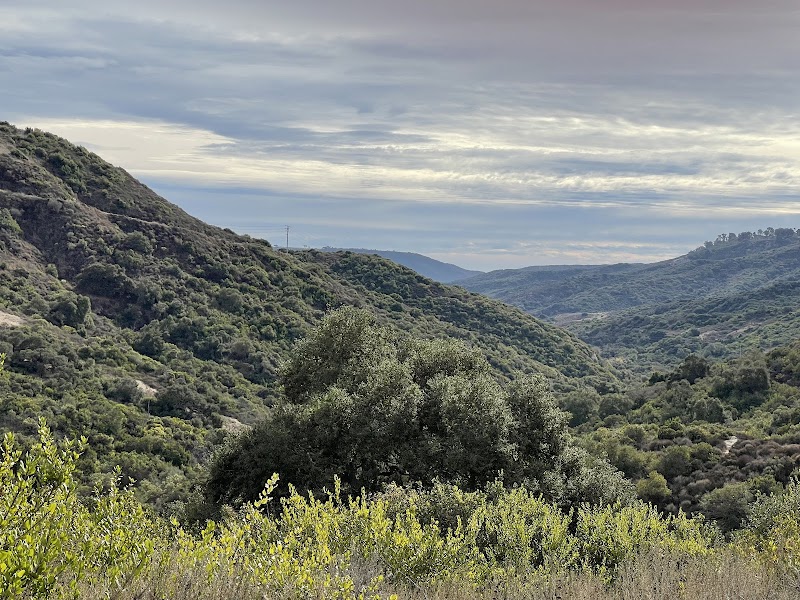Canyon View Park