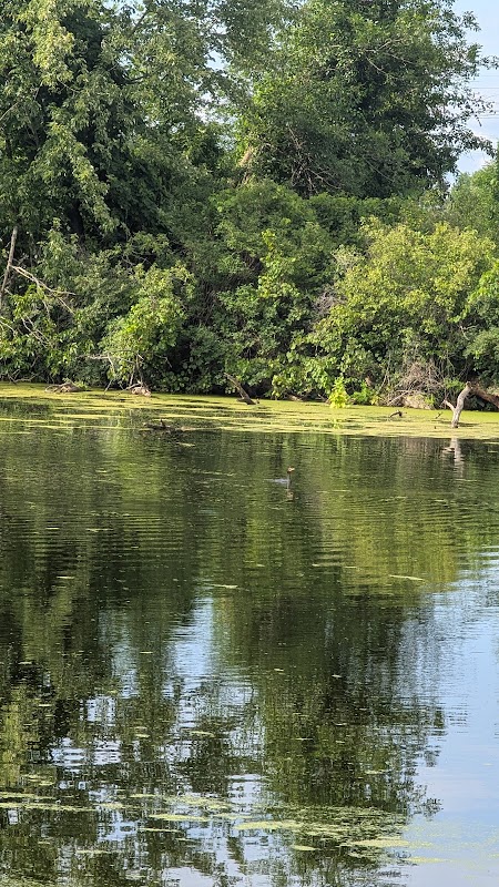 Firestone Metro Park-Confluence Area