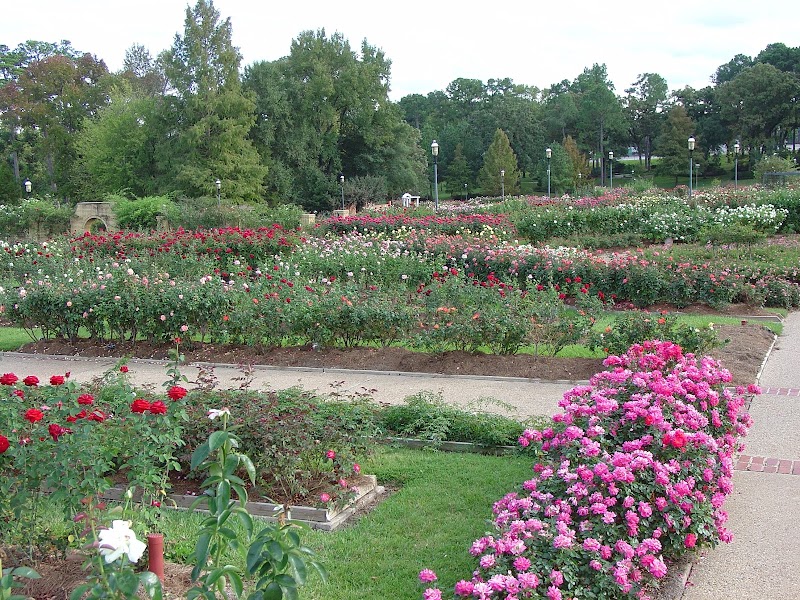 Tyler Rose Garden