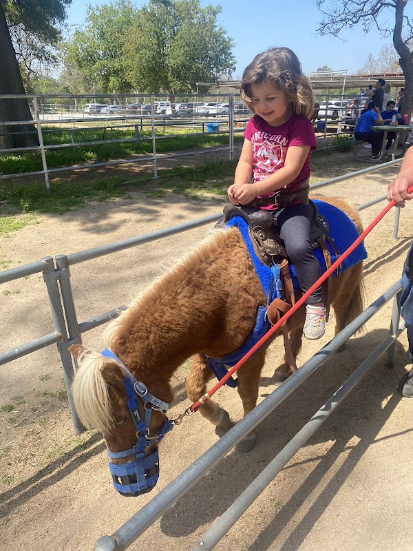 Pony Rides