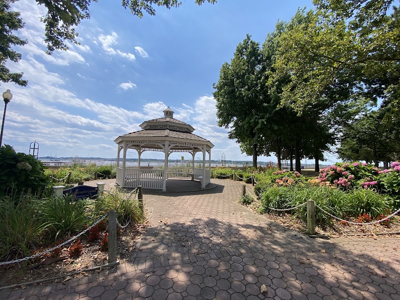 The Hummingbird Garden