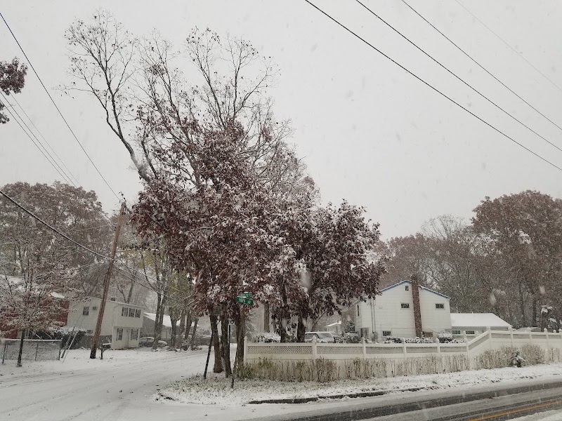 Park Avenue Nature Preserve