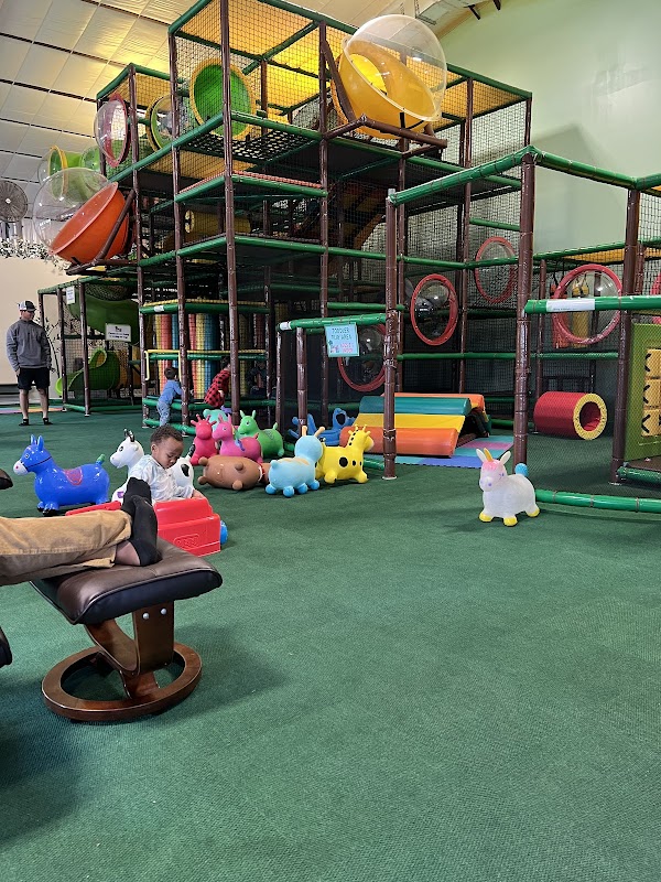 Jungle Jam Party and Play