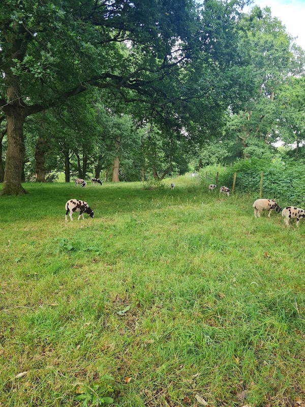South London Downs National Nature Reserve
