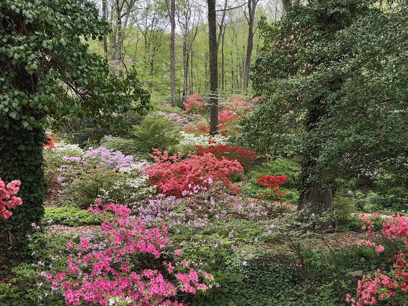 Olive and George Lee Memorial Garden