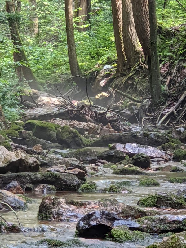 State Game Lands 110