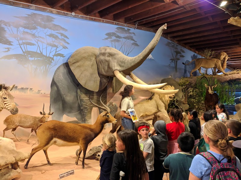 Petaluma Wildlife Museum