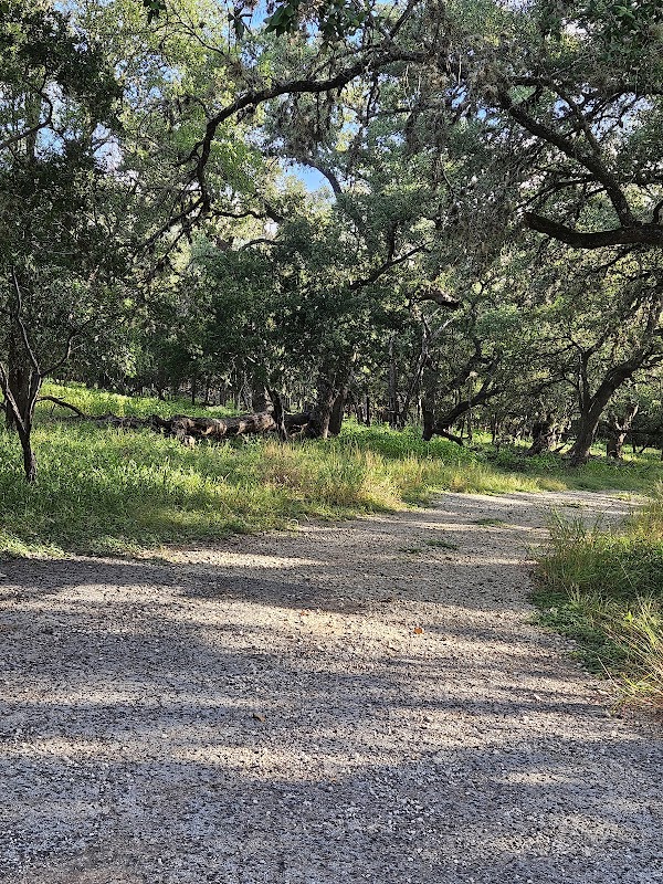 Pavilion 1 - Al Becken