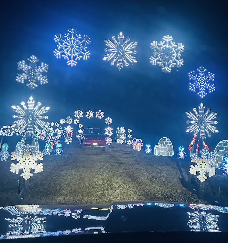 Jolly Lane Lights