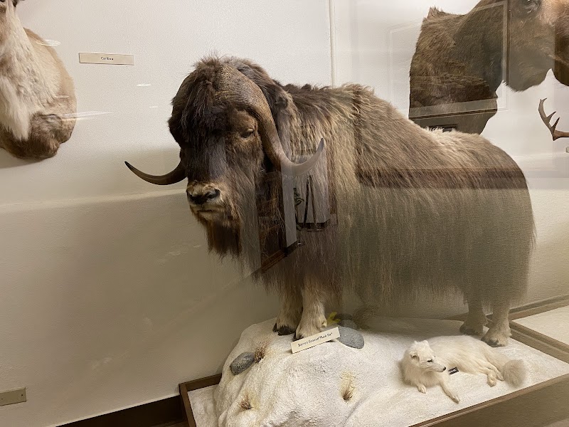 Mount Angel Abbey Museum