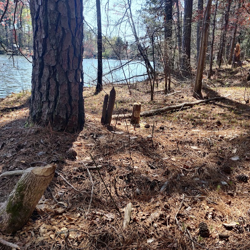 Lynne and Charlie D'Huyvetter Nature Preserve