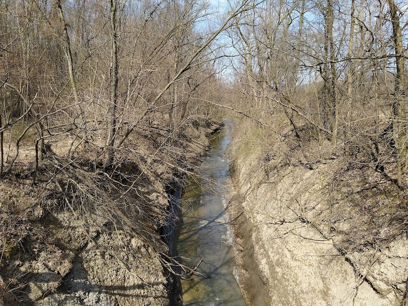Grassroots Gorge Overlook