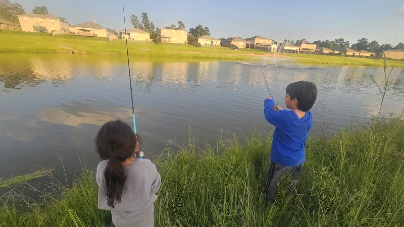 Lakes of magnolia park