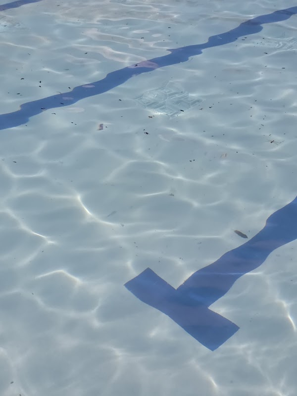 Elm creek north pool