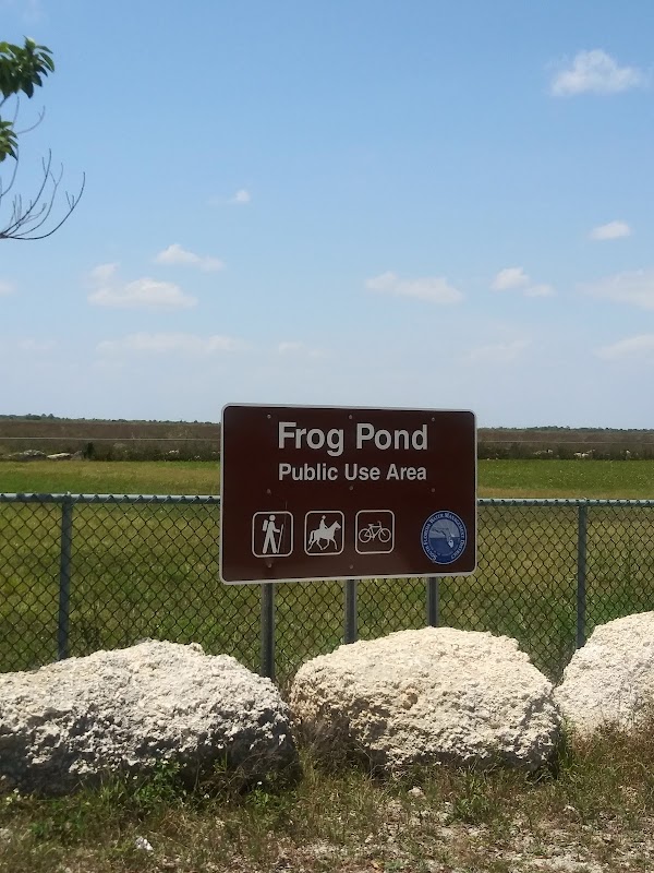 Frog Pond