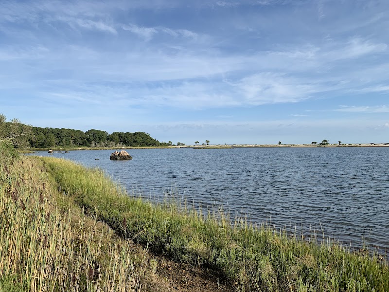 Ruth Oliva Preserve at Dam Pond