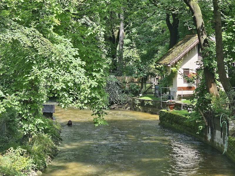 Würminsel Pasing