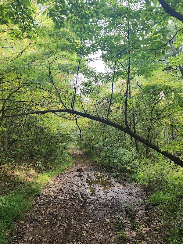 Blue Hills Conservation Center