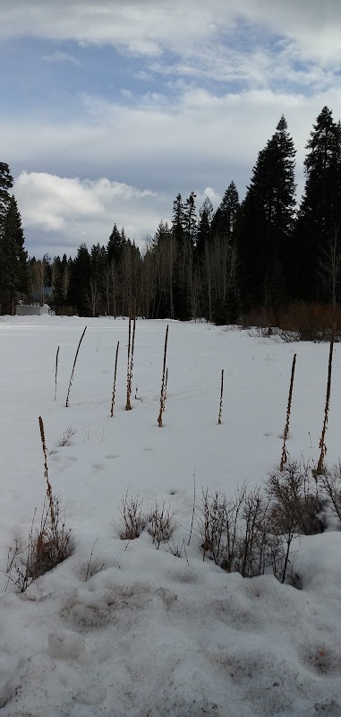 Snow Park