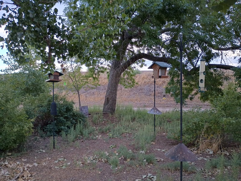 Bird Conservancy of the Rockies