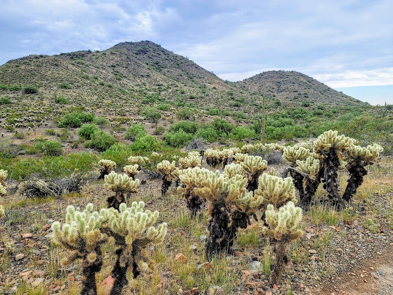 Desert Vista Trailhead