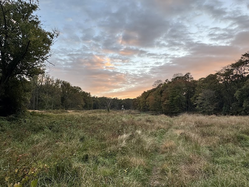 Waples Mill Meadow Park