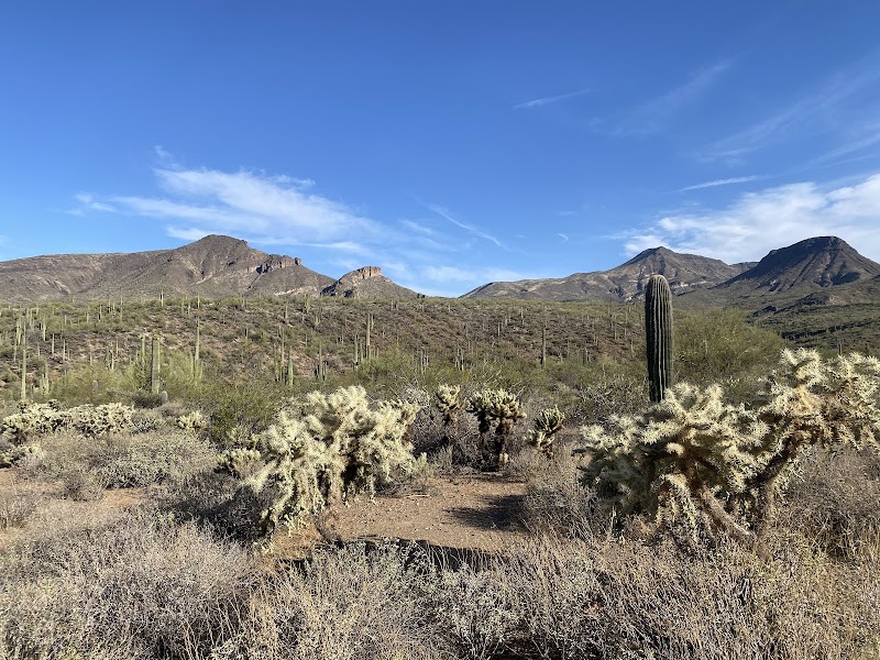 Sonoran Preserve -Desert Vista Trailhead