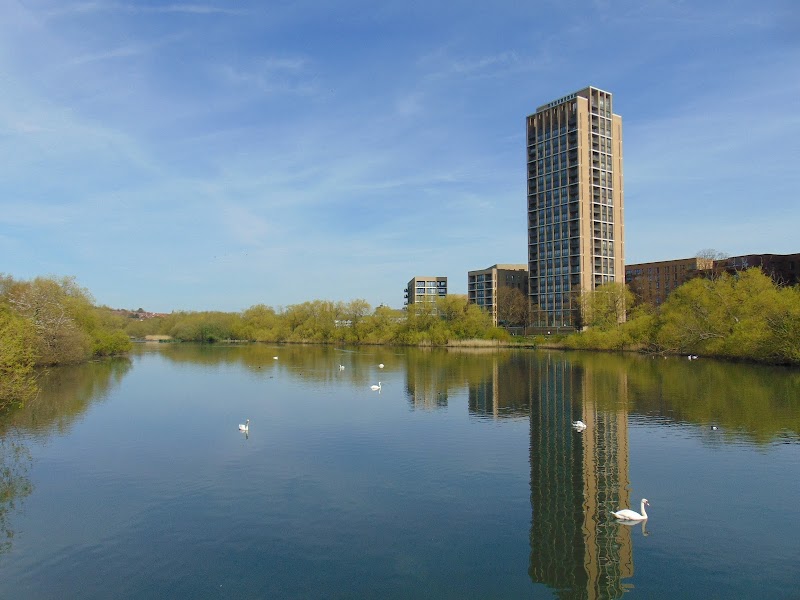 Welsh Harp Open Space