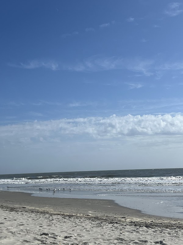 Isle of Palms Beach Access 7
