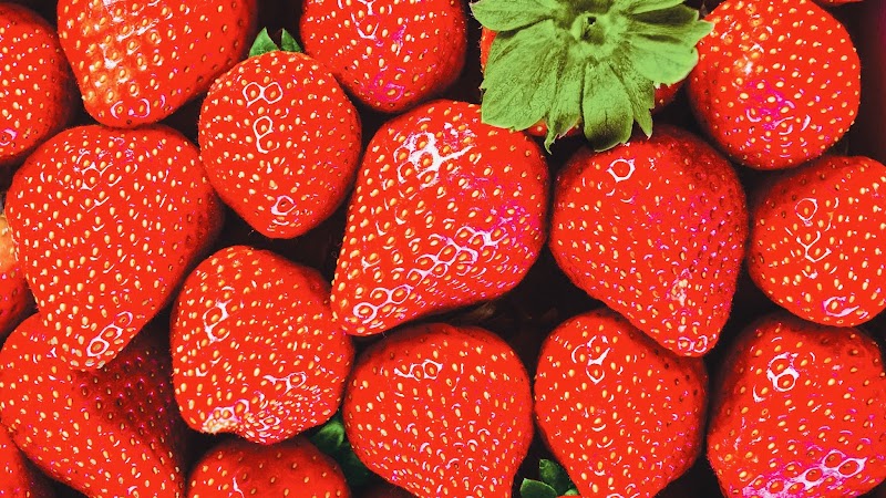 Pasadena Strawberry Festival