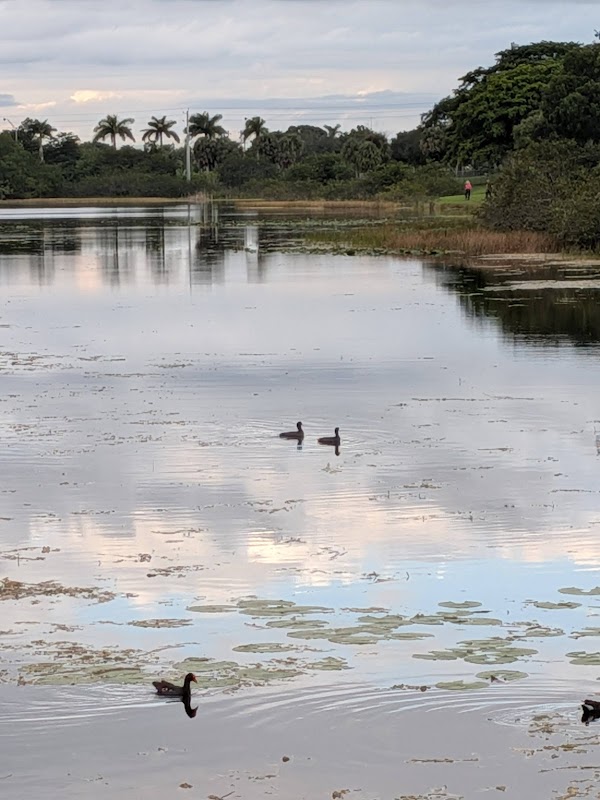 SilverLakes Park - North