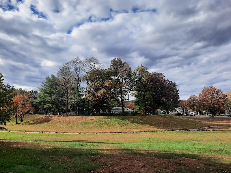 Milton Campbell Field