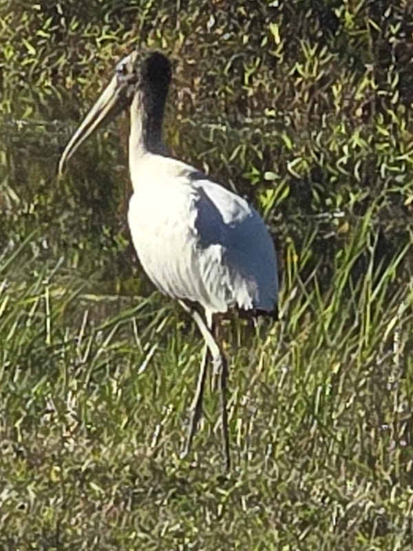 CREW Wildlife and Environmental Area