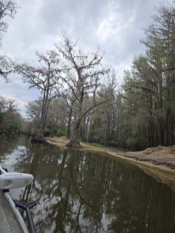 Caddo Lake Wildlife Management Area