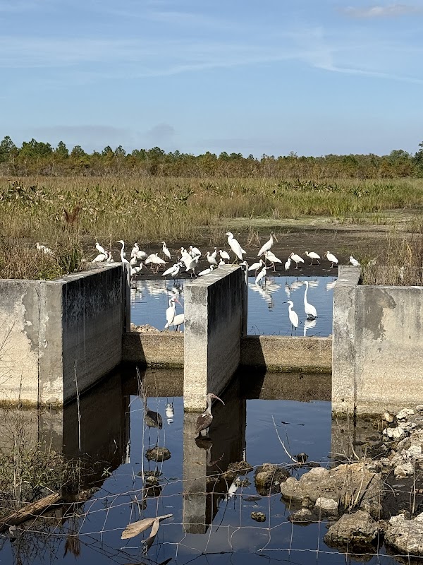 Corkscrew Regional Mitigation Bank