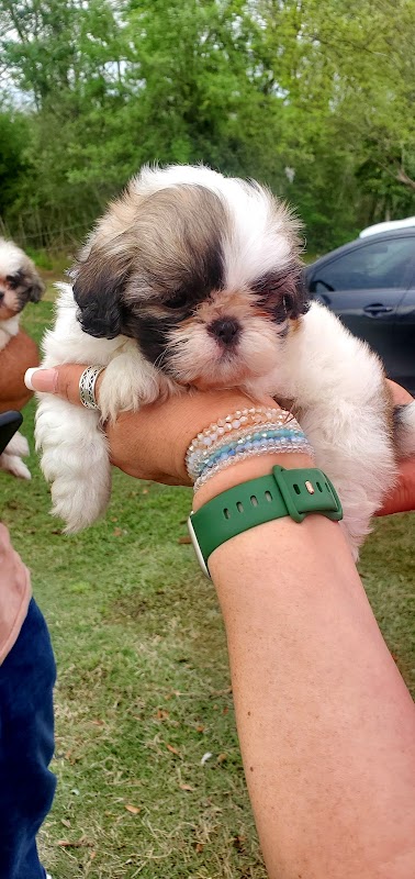 Clear Creek Bayou Greenway