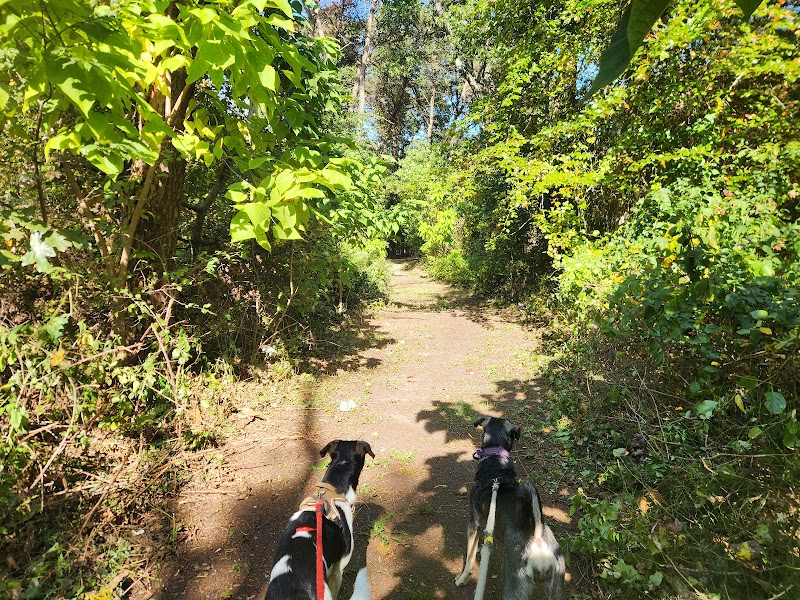 Faunce Street Playground
