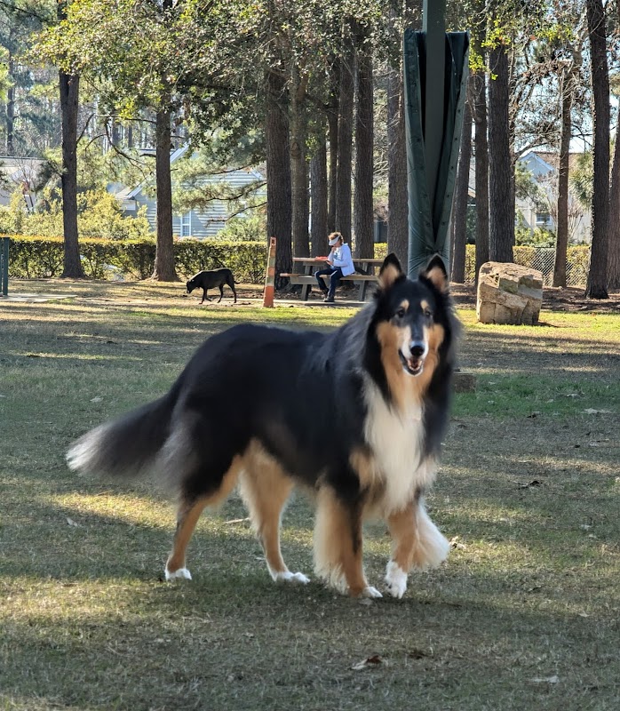 Sun City Dog Park