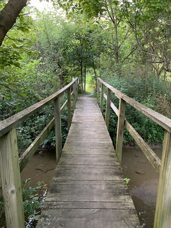 Taylor Fork Ecological Area