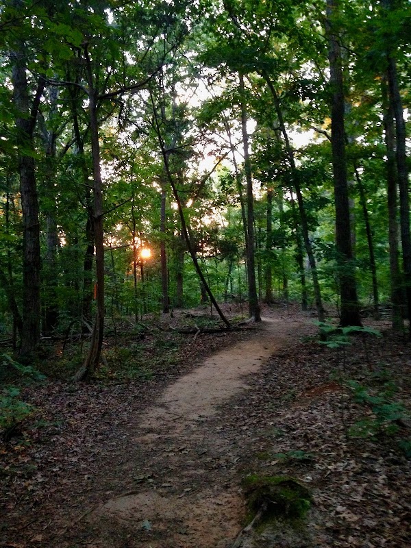 Charlotte Latin Cross Country Trail