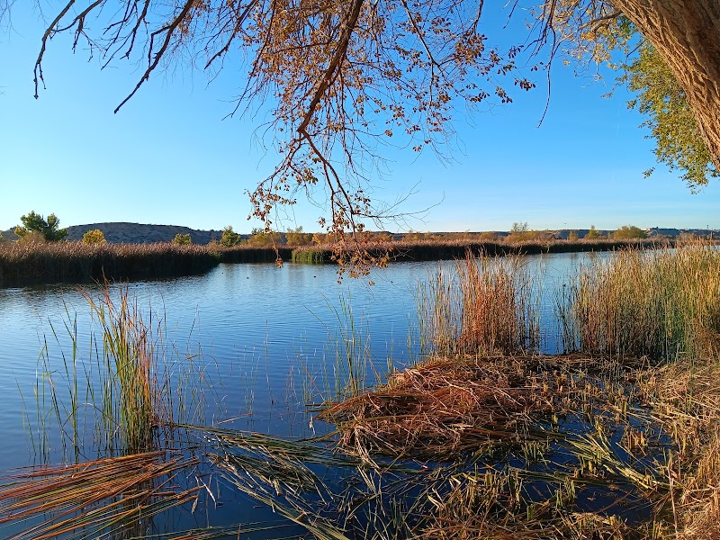 Mojave Narrows Parking