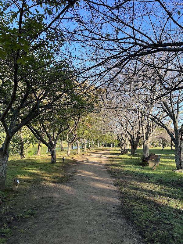 Roxbury Rotary Pavillion