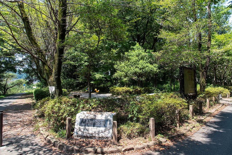 Tamagawa Ryokuchi Fussa Kamijosui Park