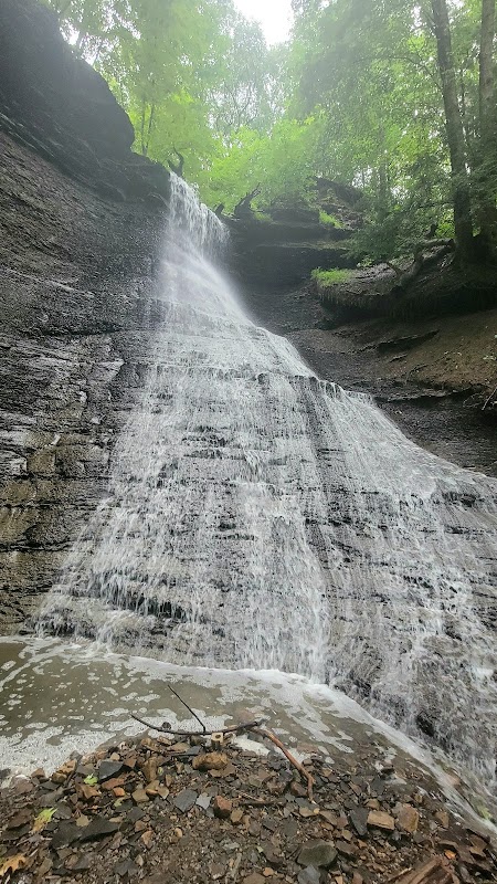 Cook Falls