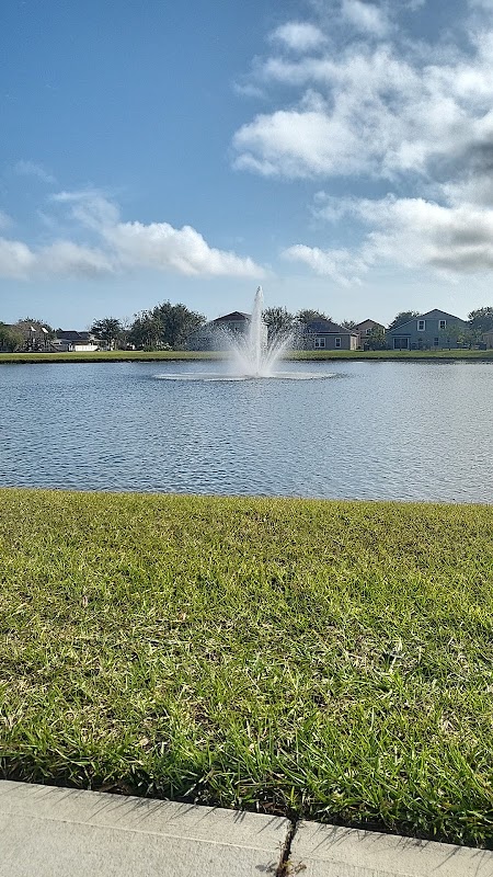 Cypress Shadows Front Park