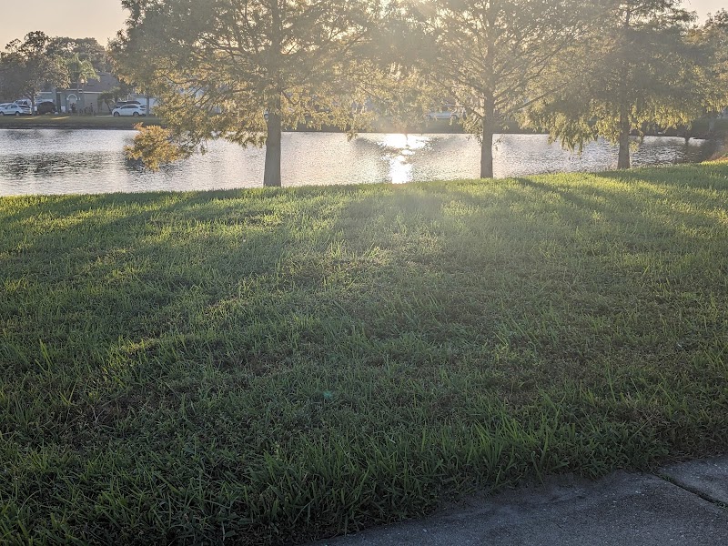 Cypress Shadows Front Park