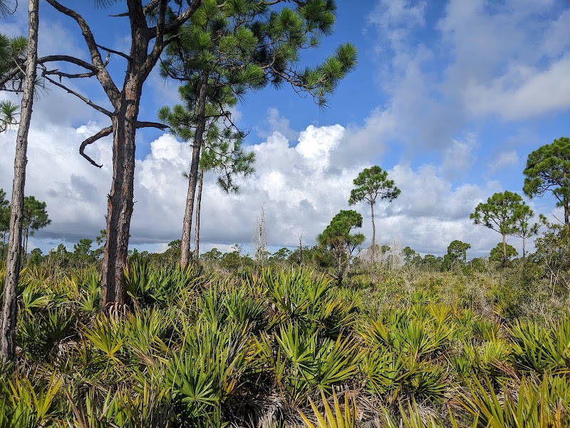 Pine Island Flatwoods Preserve