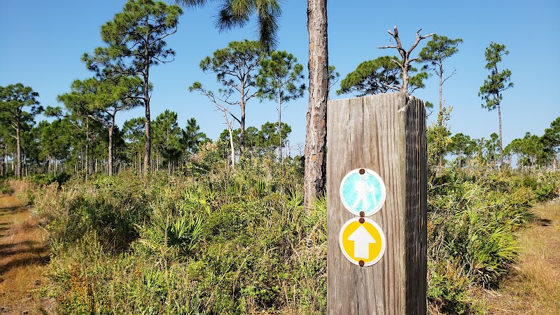 Pine Island Flatwoods Preserve
